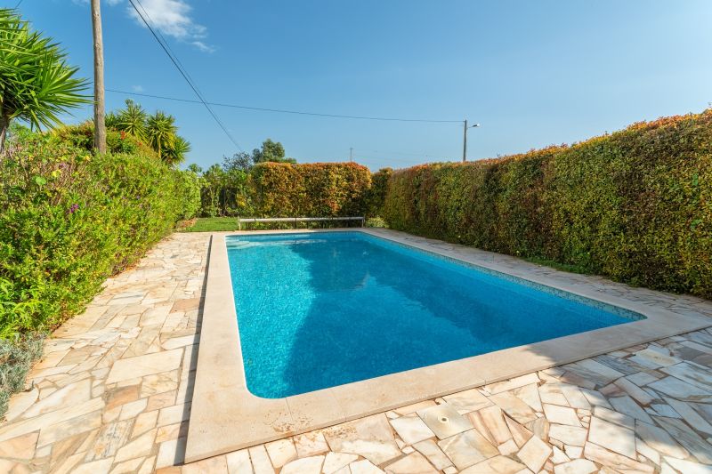Pool Opening
